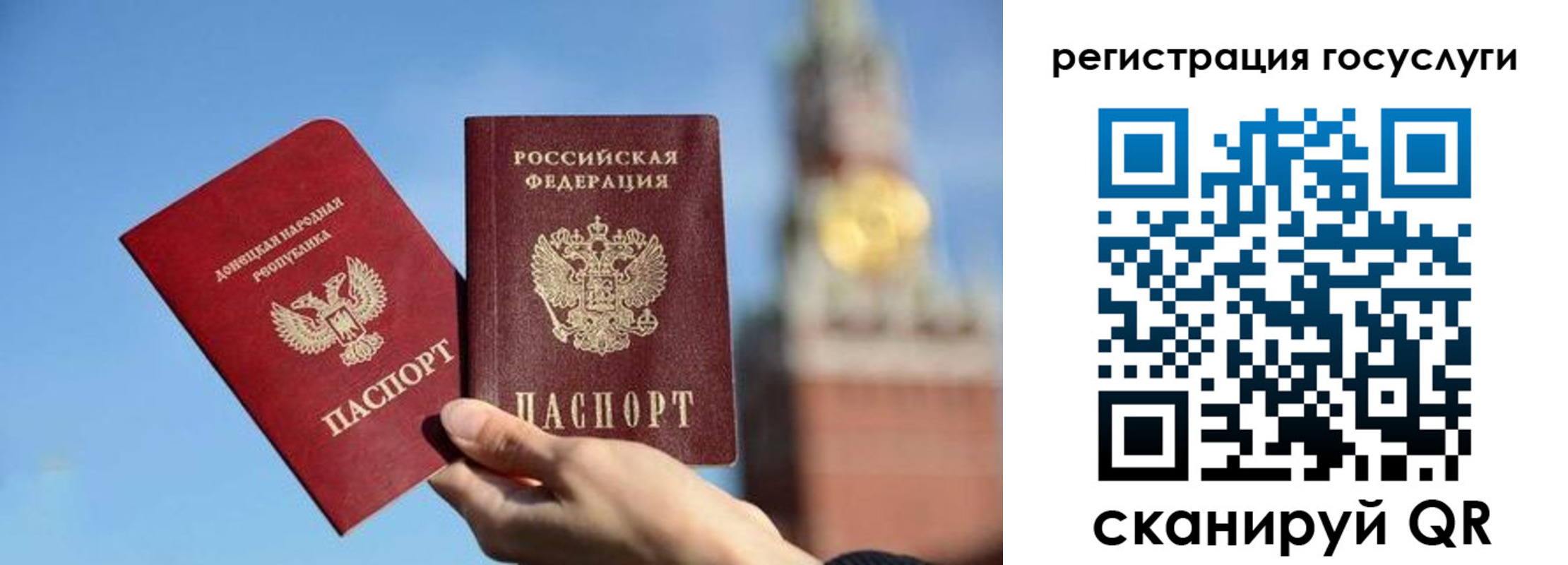 прописка гарантия в Тольятти